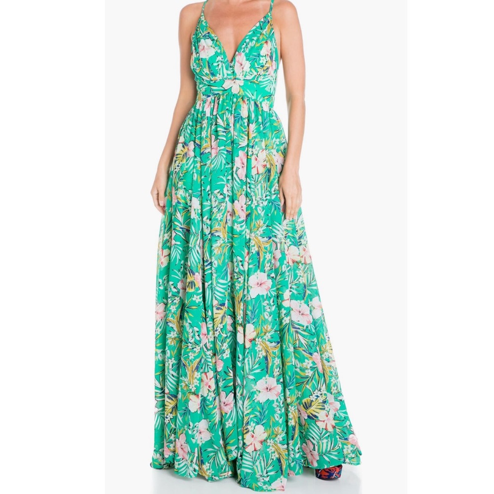 NWT Meghan LA Enchanted Garden Maxi Dress - Picture 3 of 12